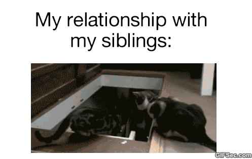 siblings