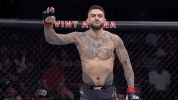Slow Motion Sport GIF by UFC