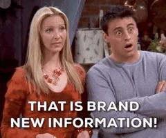 Season 8 Episode 3 GIF by Friends