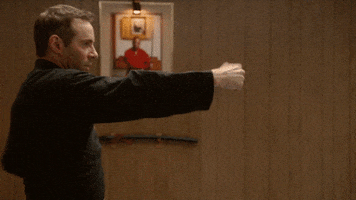 punch karate GIF by The Art Of Self-Defense