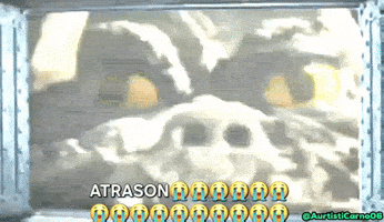 Manda GIF