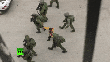 yallafeed  GIF