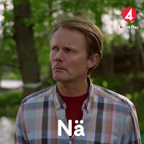 Na No GIF by TV4
