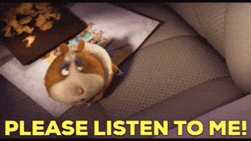 These Cute Animals Eating Will Have You All Faklempt - Señor GIF