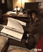 200.gif?cid=fc005b0837edd3170969fd1ebd46415a9b7bee2097e1a554&rid=200.gif&ct=g