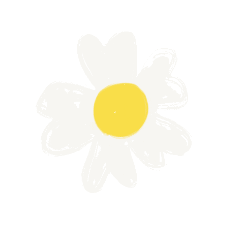 Flower Daisy Sticker