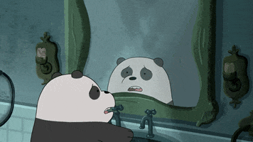 Panda Sorpresa GIF by Cartoon Network EMEA
