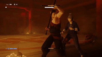 Sifu GIF