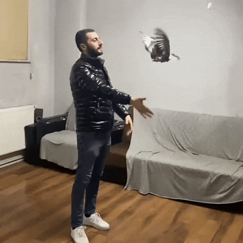 Taklacı GIF
