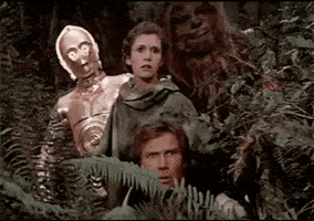Dono The Force GIF