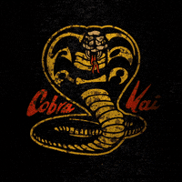 Cobra Kai Kid GIF by Todd Rocheford