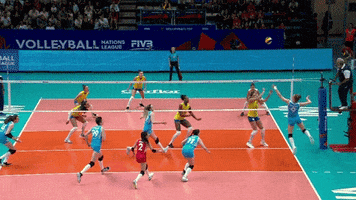 Brazil Save GIF by Volleyball World