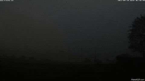 fog
