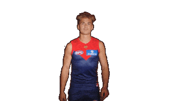 Melbourne Demons Goal Sticker by Melbournefc
