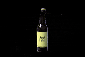 Cerveza Craft Beer GIF by Nao Beer