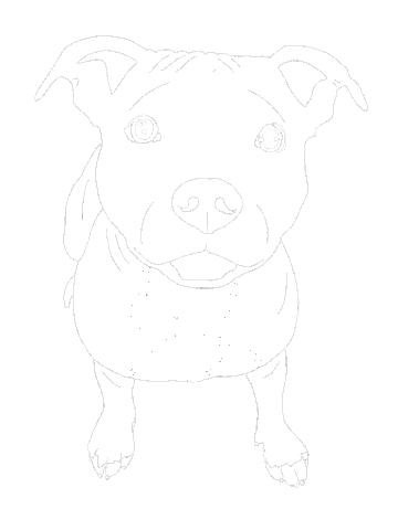 Dog Sticker