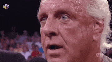 Ric Flair Wrestling GIF by G1ft3d