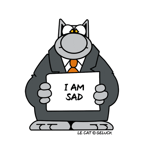 LE CAT © PHILIPPE GELUCK GIF