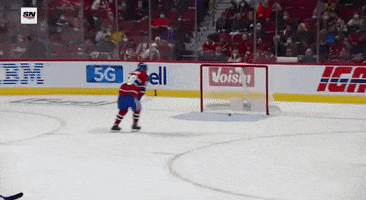 Habs GIF