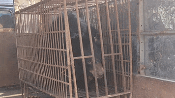 200.gif?cid=fc005b0889ba0628e4e4bdc0c9cbfcdbee53dc4c9f53402b&rid=200.gif&ct=g