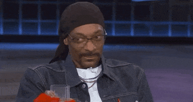 Snoop Dogg What GIF by VH1