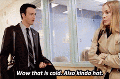 Veep Wow That Is Cold Also Kinda Hot GIF