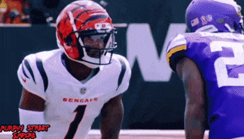Chase Bengals GIF by The Undroppables