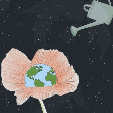 Jenny Schneider flower earth environment climate change GIF