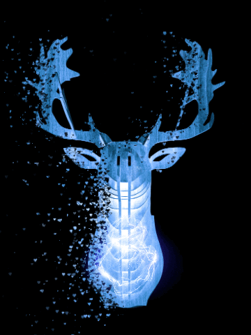 Intentioprohodiecras Inspireandbeinspired Ad GIF