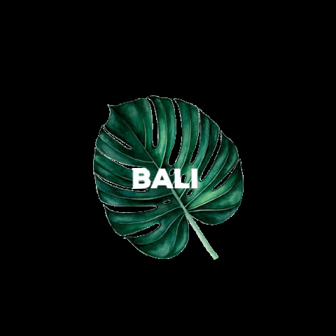 Bali Lash GIF