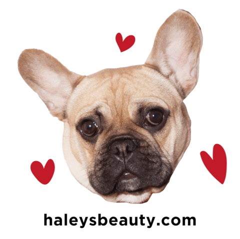 Dog Love Sticker by HALEYS