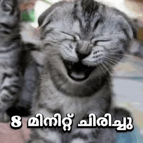 Funny Meme GIF