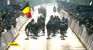 Balsamo GIF
