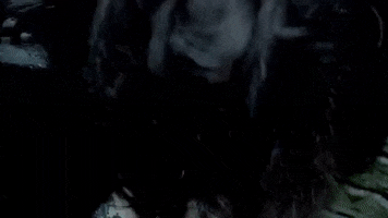 Merlin GIF
