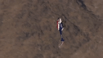 Trump GIF