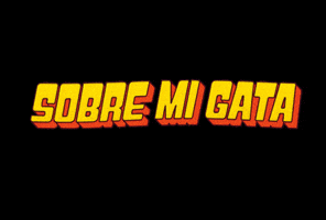 Cats GIF by Guspira