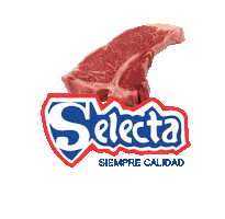 ESELECTA01 Sticker