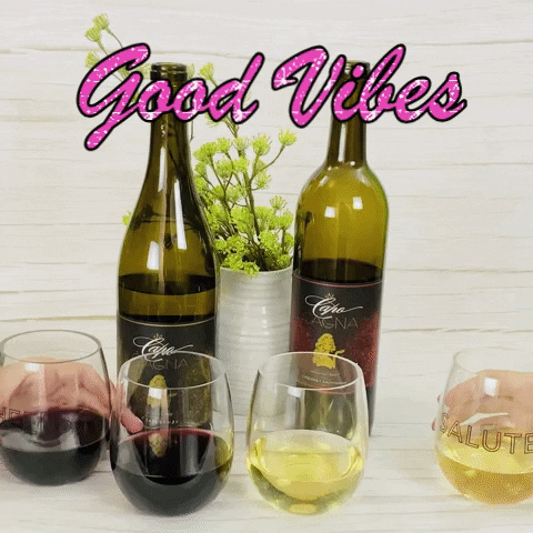 LeahVanDale cheers wine drinks happy hour GIF