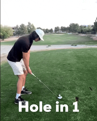 Golf Hole In 1 GIF