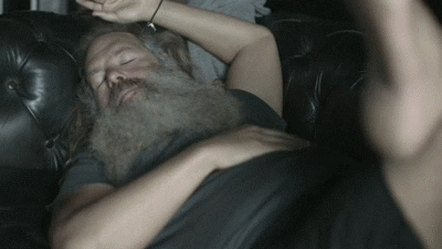giphy.gif