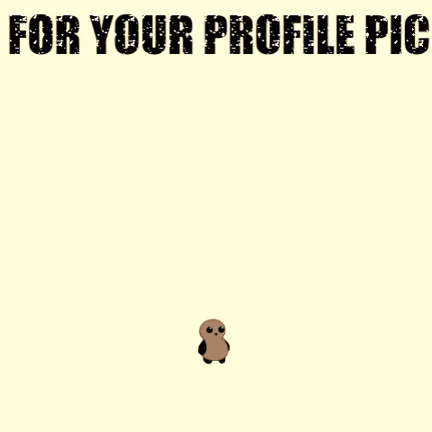 profile picture GIF