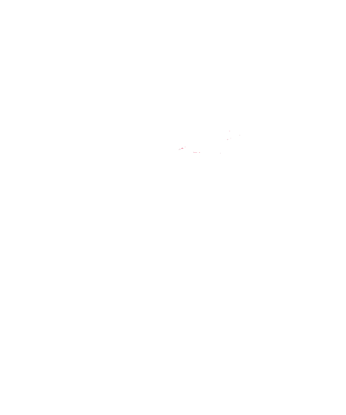 Corrida Thehardestrun Sticker by Overstress
