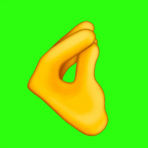 Wtf GIF