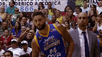 Baloncesto Superior Nacional GIF