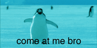 Video gif. A penguin in the Arctic trots toward the camera, arms spread wide in an assertive way. Text, "Come at me bro."
