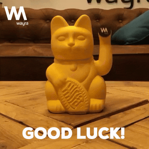 lucky cat gif