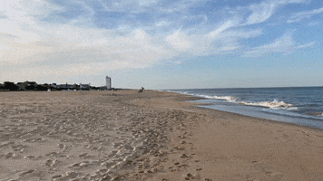 Visit Virginia Beach GIF
