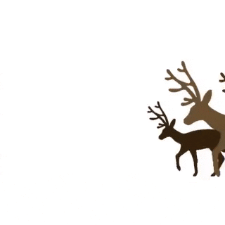 Jura Whisky GIF