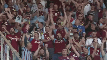 Football Celebrate GIF by Aston Villa FC