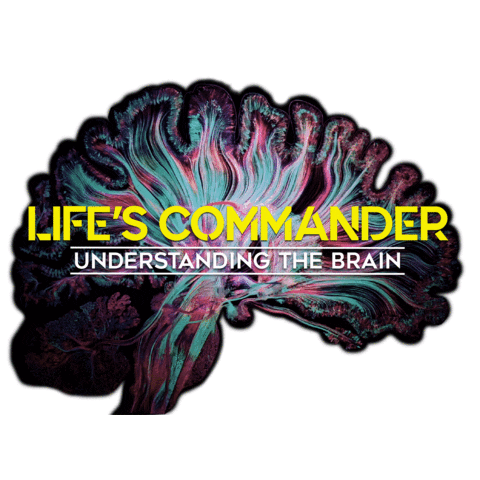 Sticker by AIMS Meeting